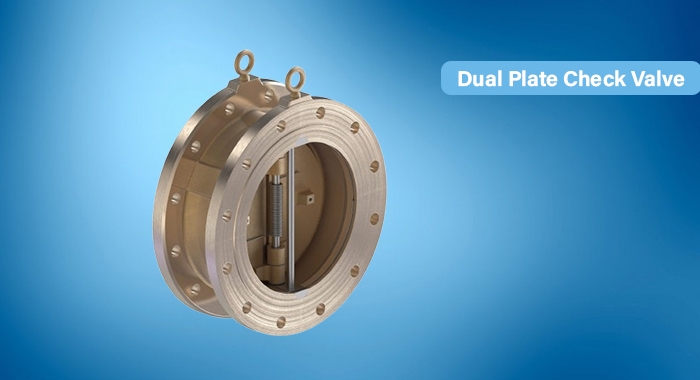 dual plate check valve